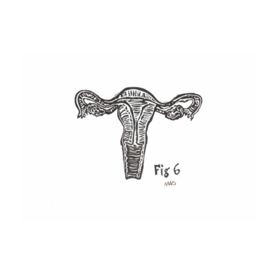 Uterus Card