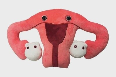 Uterus Gigantic 18" Plush