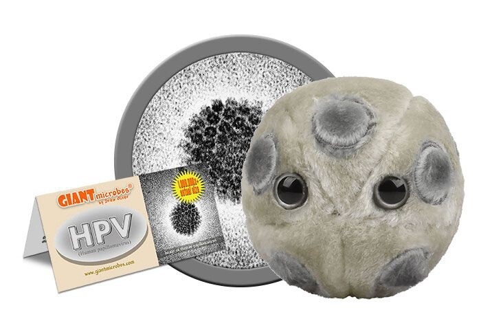HPV (Human Papillomavirus) Plush