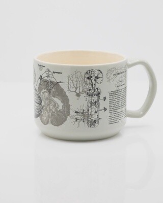 Brain Anatomy 15 oz. Ceramic Mug