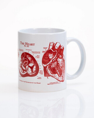 Anatomical Heart 11 oz Ceramic Mug