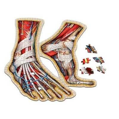 Human Feet Anatomy Jigsaw Puzzle | Dr. Livingston S Unique Shaped Science Puzzles