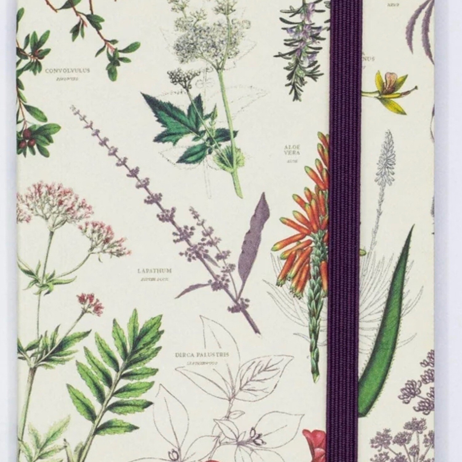 Medicinal Botany A5 Notebook (Blank & Lined)