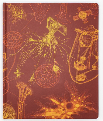 Microbiology Hardcover Notebook