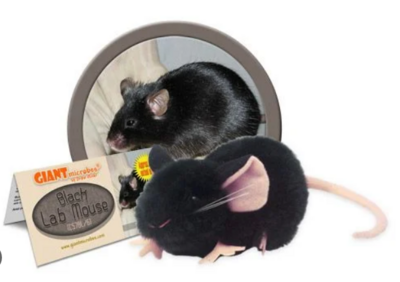 Black Lab Mouse Plush