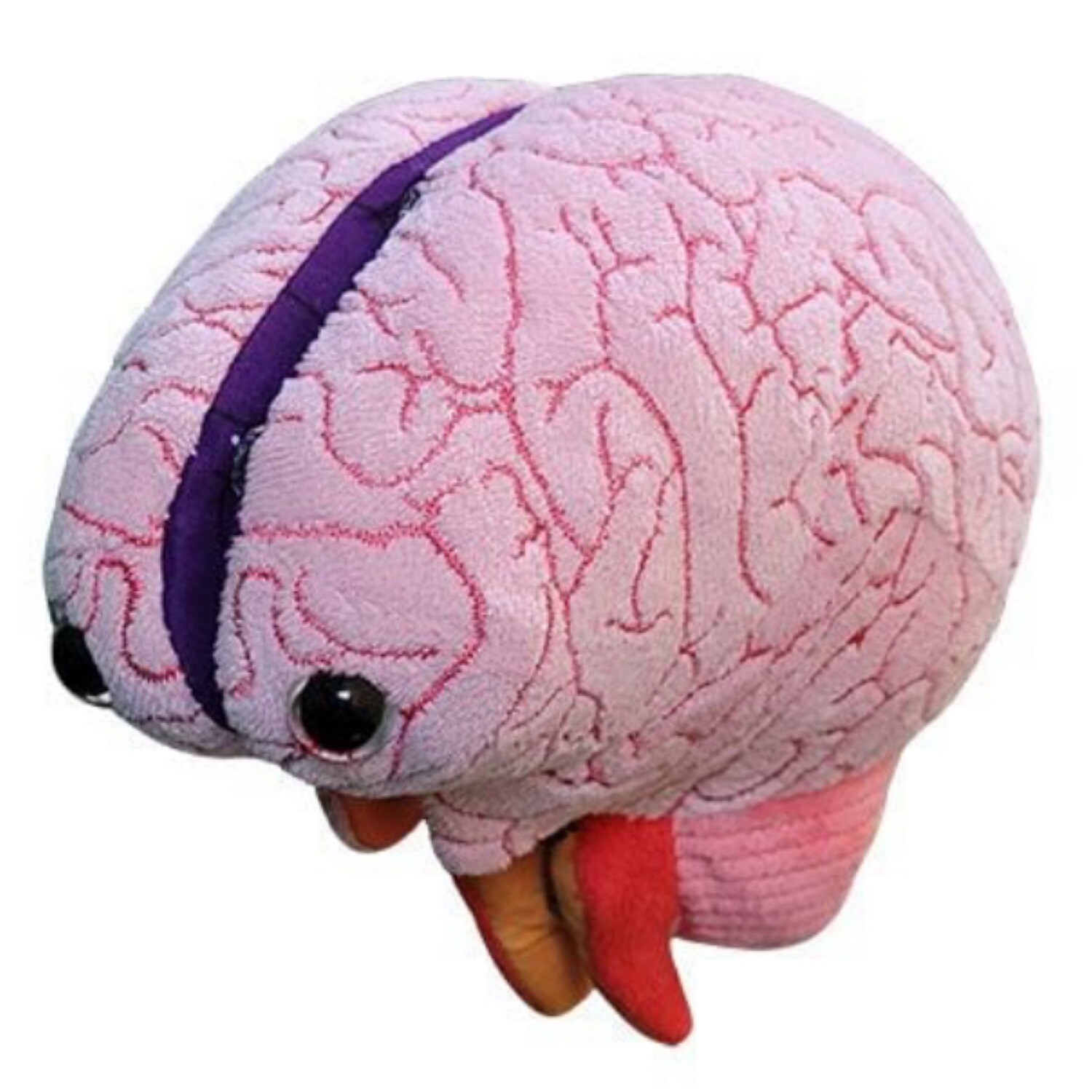 Brain Model Plush