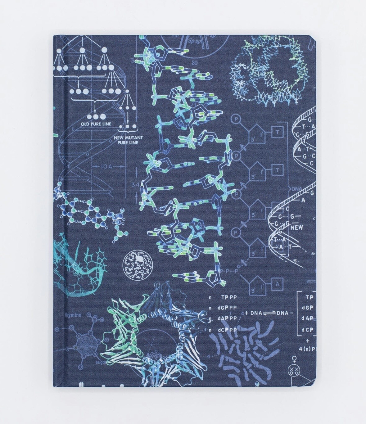 Genetics PL 2 Hardcover Notebook (Lined)