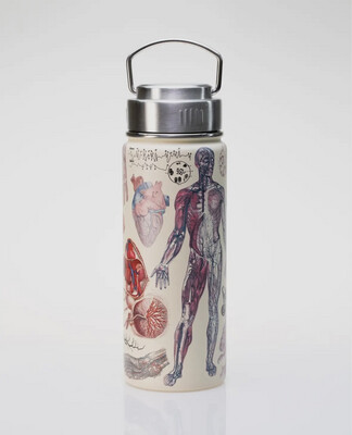 Human Anatomy Stainless Water Bottle