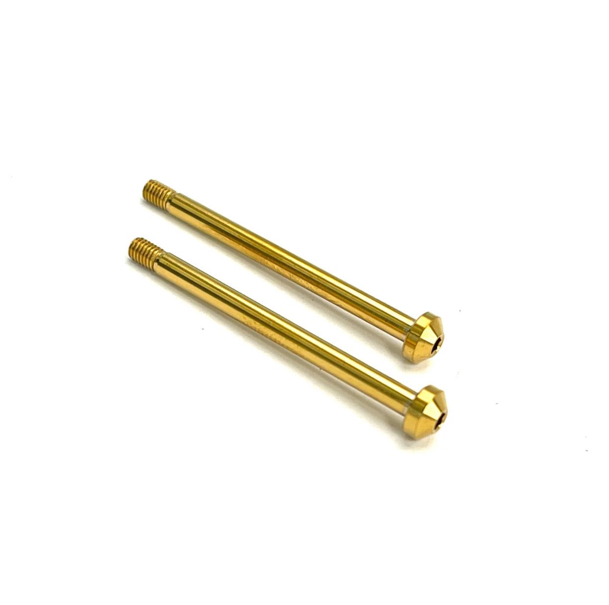 R1WURKS Rear Outer Hinge Pin, Titanium (Titanium Nitride Coated)
