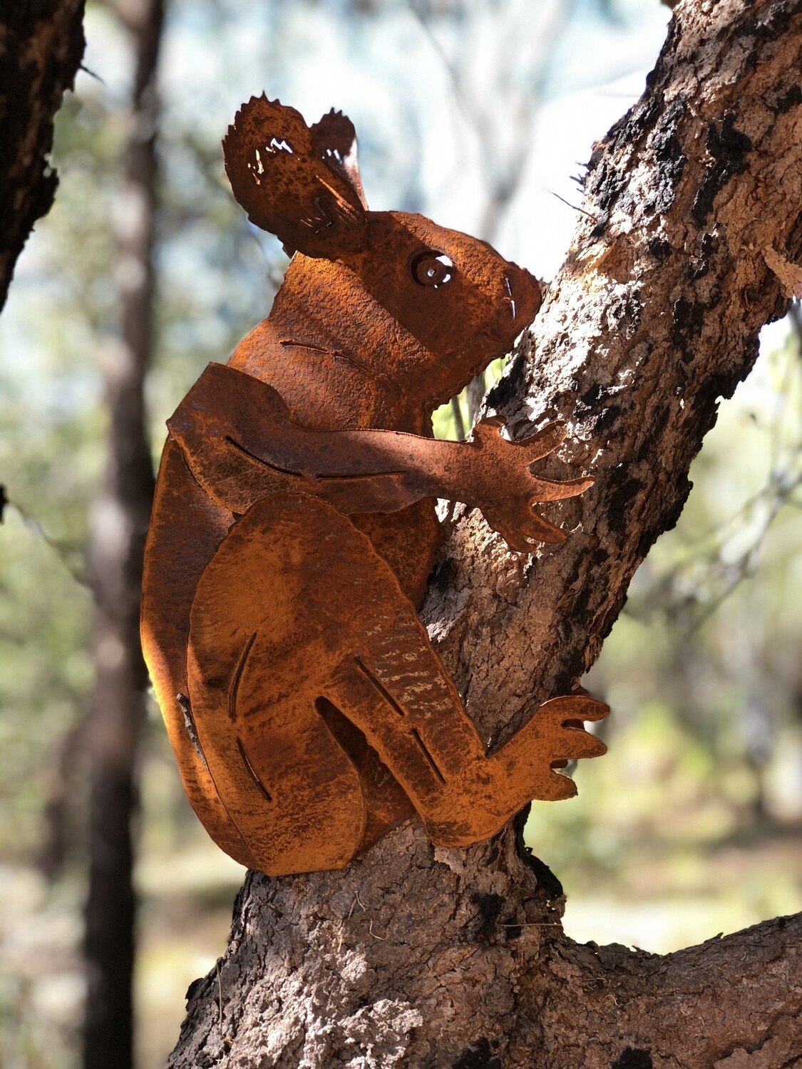Koala Large Koala Large