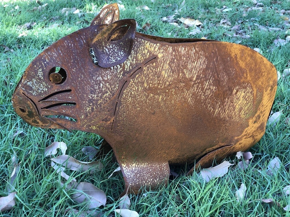 Wombat Wombat