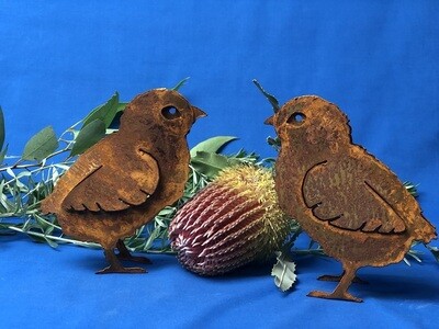 Birds