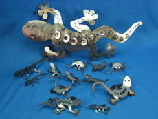 Lizards