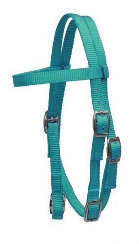 Pony Size Premium Nylon Browband Headstall, Color: Teal