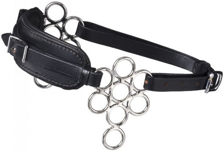 Multi Ring Hackamore