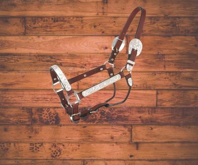 Halters &amp; Leads