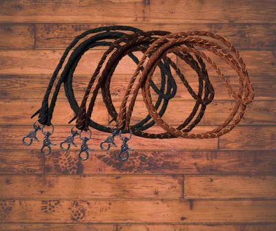 Reins