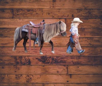 Pony Sized Gear