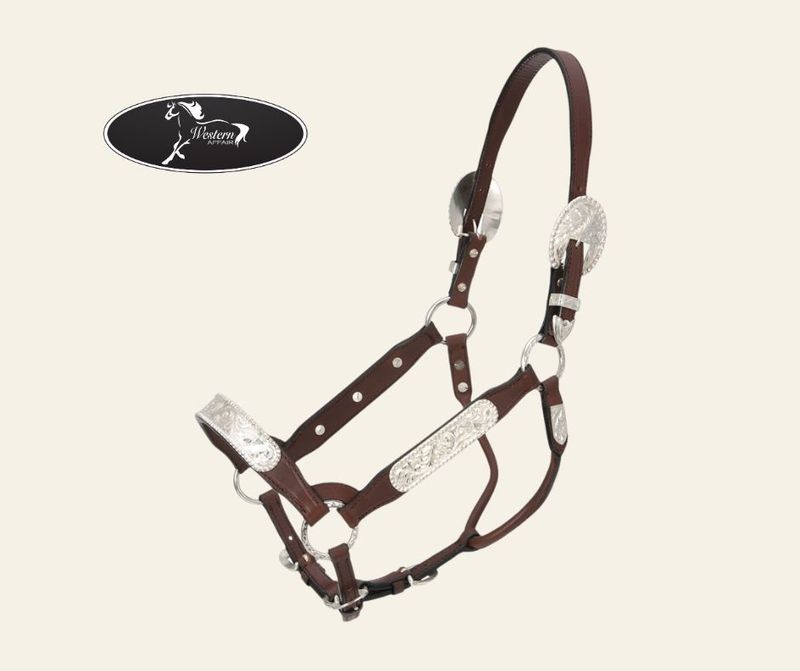 Berry Edge Congress Show Halter - Full