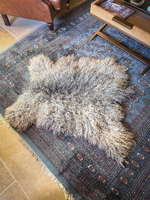 Felted  Living Rug -  Giles 2025