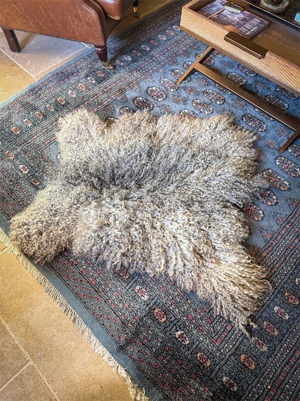 Felted  Living Rug -  Giles 2025