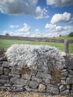 Felted Living Gotland Rug - Beata  2025