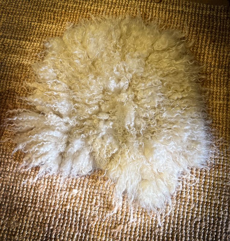 Felted Living Seat Pad  - Pumpkin 2025