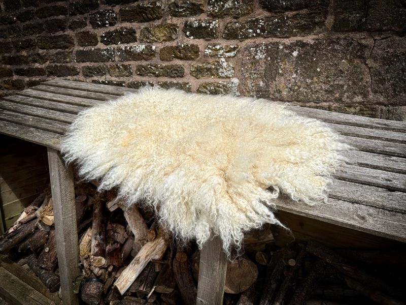 Living Rug- Som 2025
