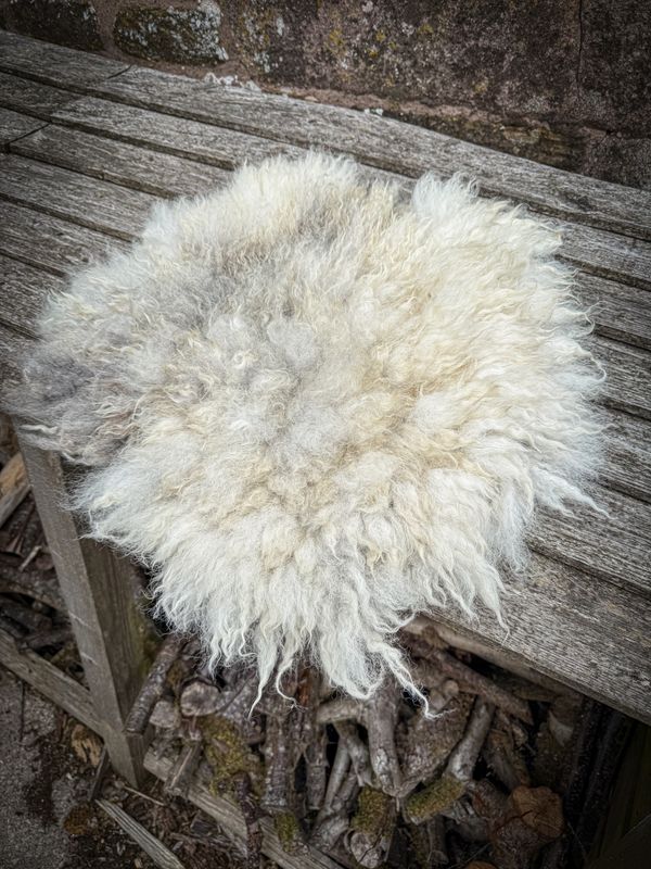 Living  Fleece Seat Pad - No Chops 2025