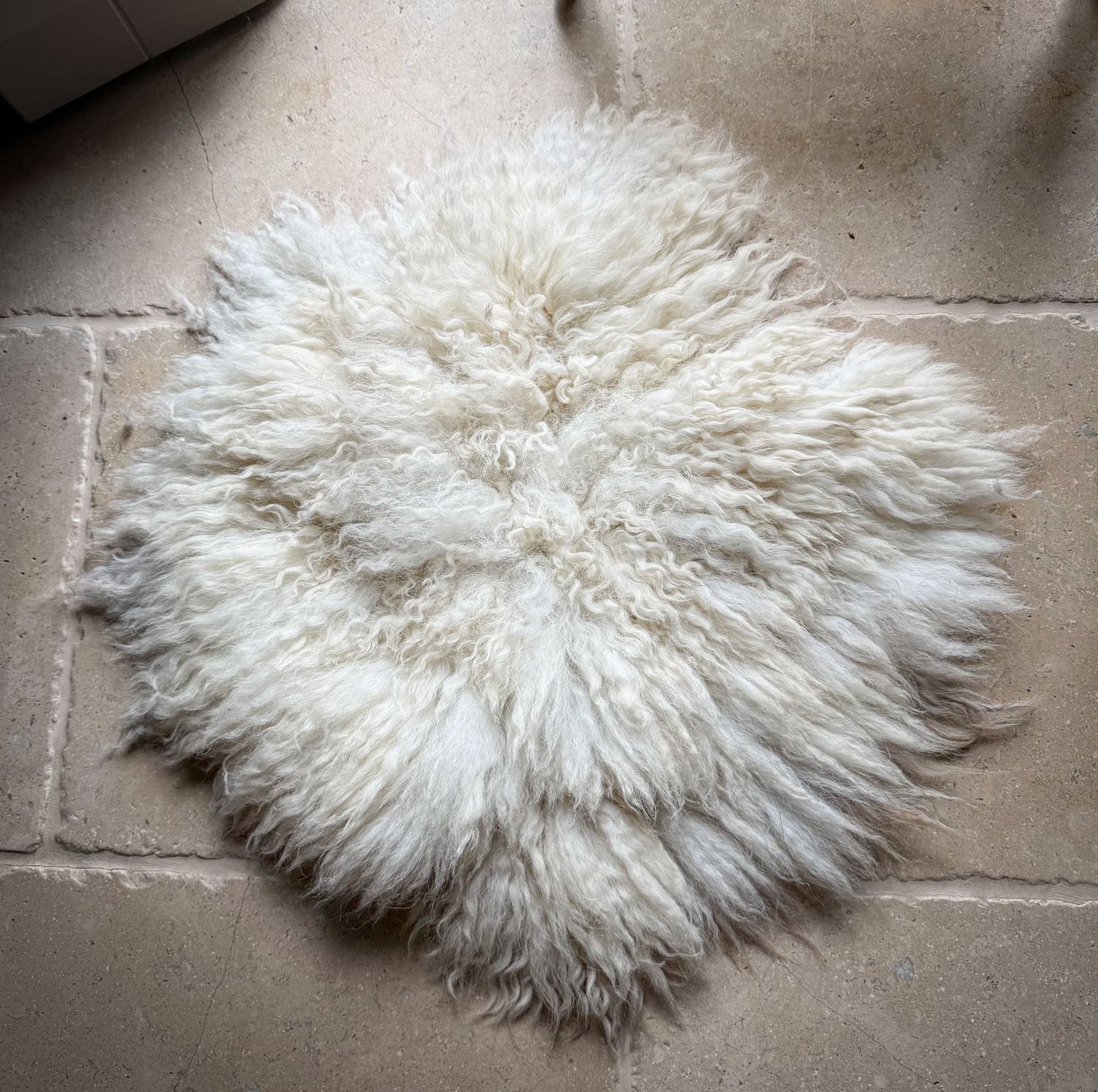 Living Seat Pad - Peter 2025 Part 2