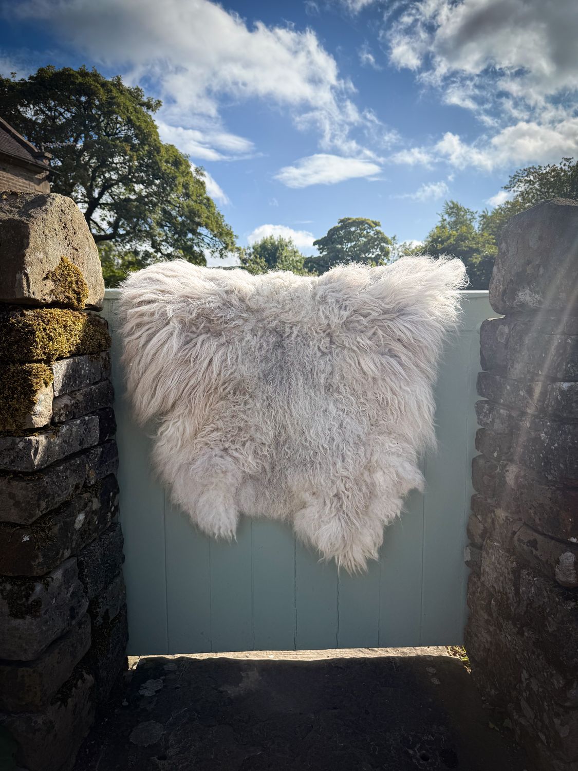 Herdwick Living Fleece Rug - Flo 2025 (Please read before purchasing)