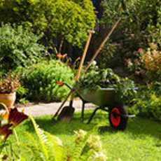 Garden Materials and Maintenance
