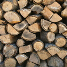 Logs &amp; Kindling