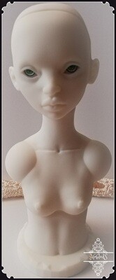 1/4 bust  (with head in option)
