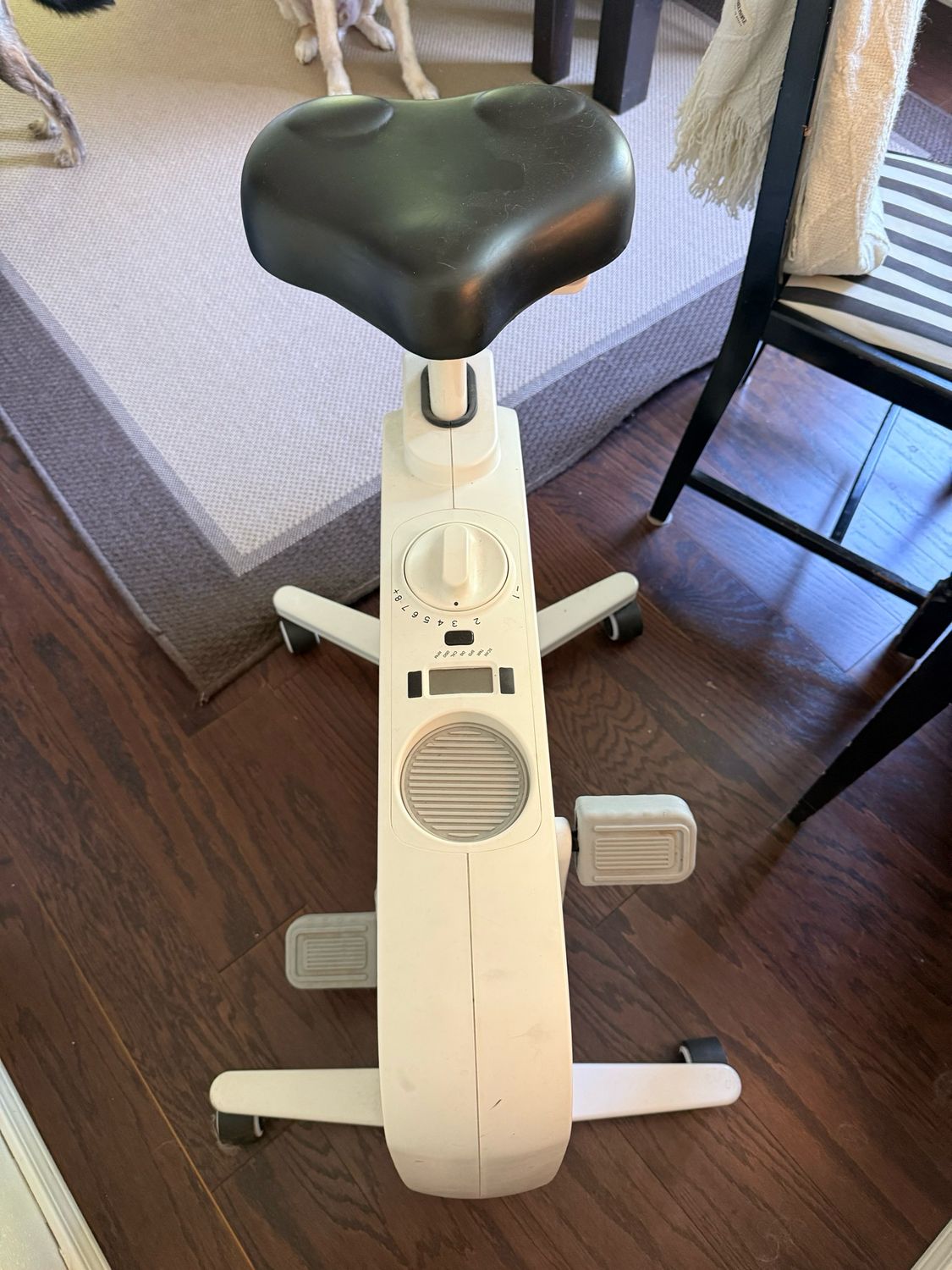 FlexiSpot Desk Bike Chair
