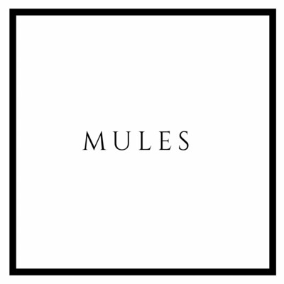 MULES MUJER