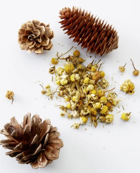 American Crew Hair Care & Body 3in1 Chamomile & Pine 450 gr