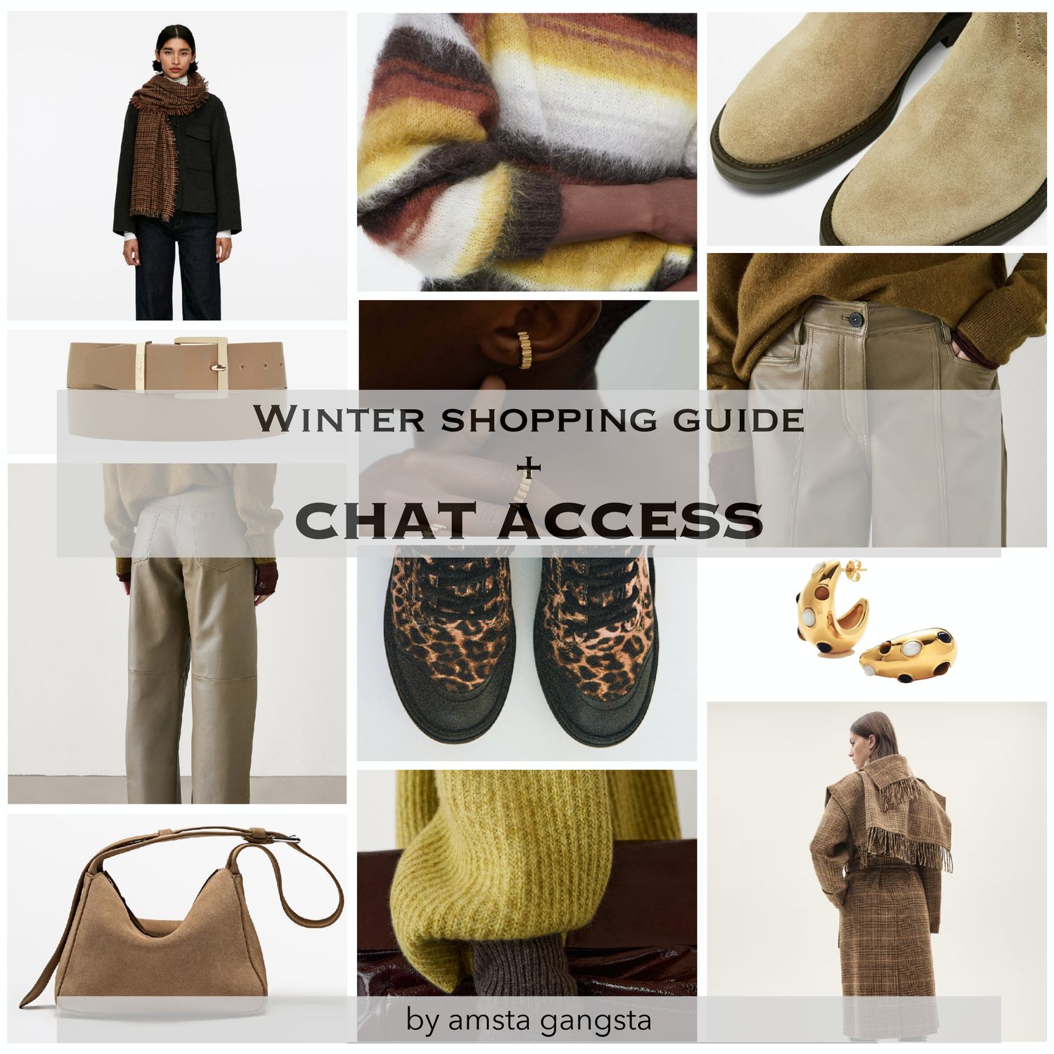 Winter Guide + Chat Access