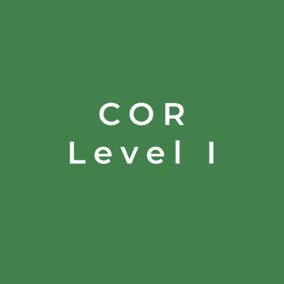 COR Level I: Contracting Officer Representative (COR) Training