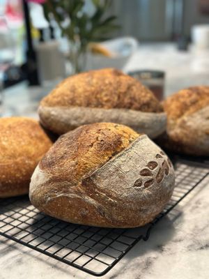 Artisan Sourdough Loaf - Limited Batch Friday Pickup