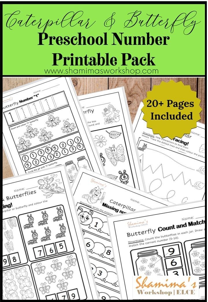Caterpillar & Butterfly Preschool Number Printable pack