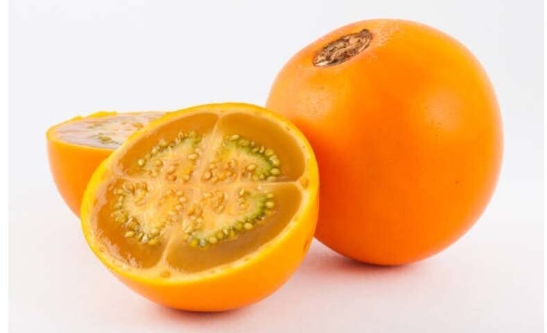 LULO DE CASTILLA Solanum Quitoense