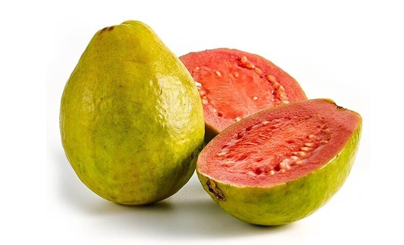 GUAYABA