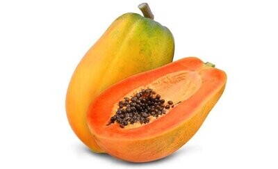 PAPAYA Carica Papaya