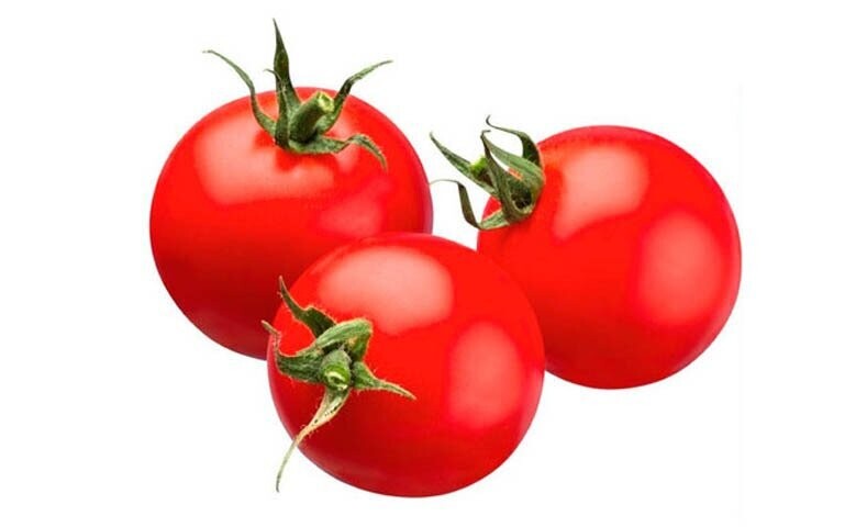 TOMATE SANTA CLARA
