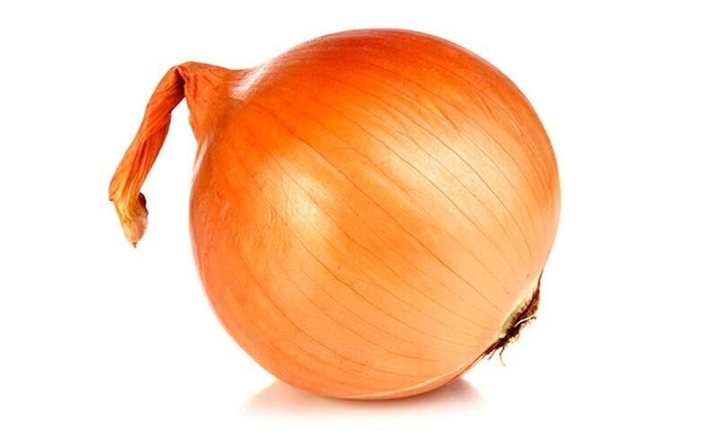 CEBOLLA TEXAS YELLOW GRANO 502
