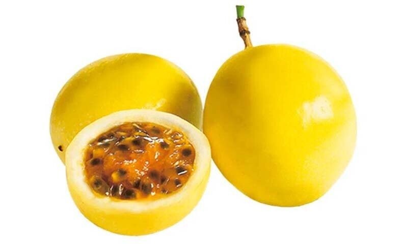 MARACUYA Passiflora Edulis