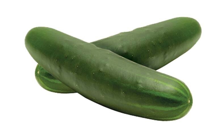 PEPINO POINSETT 76