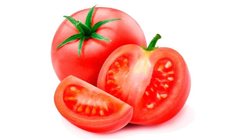 TOMATE HYB SANTA CLARA F-1