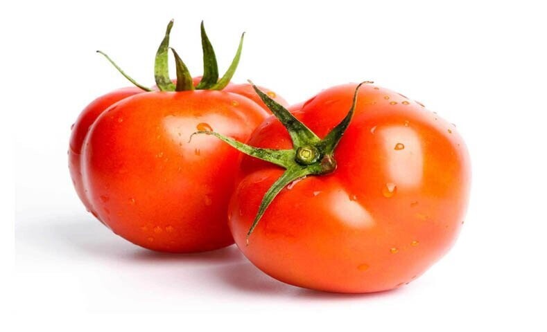 TOMATE TROPIC